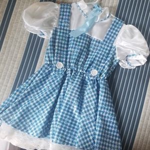 Dorothy Costume